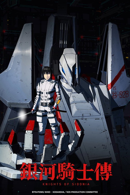 希德尼娅的骑士电影海报