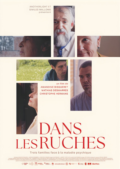 Dans les ruches's poster