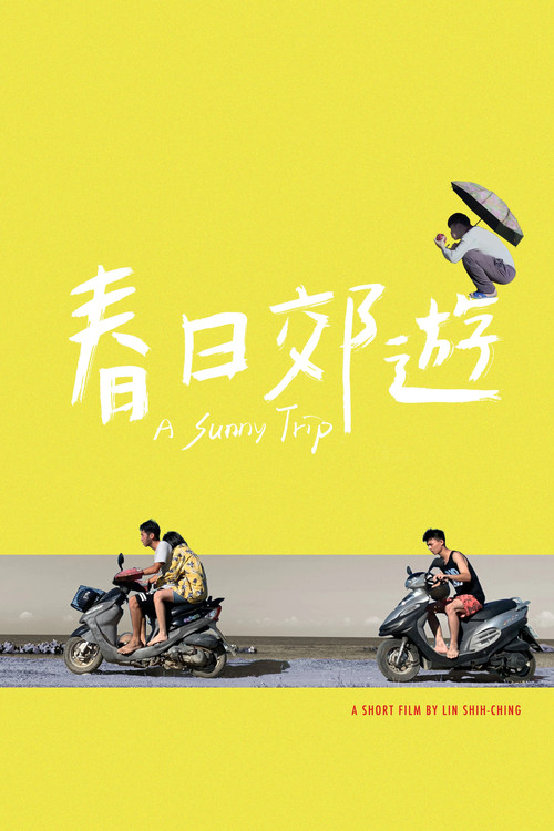A Sunny Trip poster 2