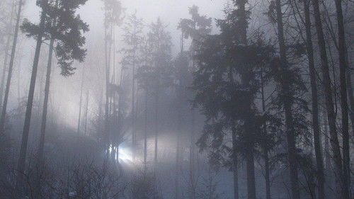 The Rendlesham Forest Incident