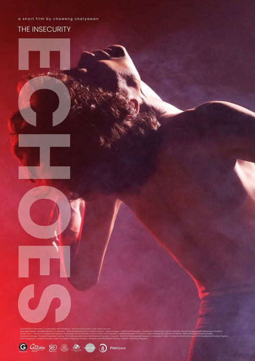 The Insecurity Echoes