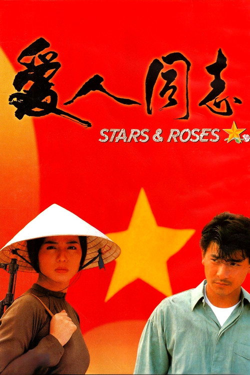 爱人同志电影海报