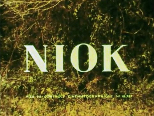 Noik