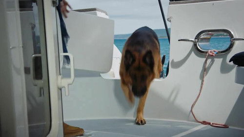 Hudson & Rex - 3. Bölüm