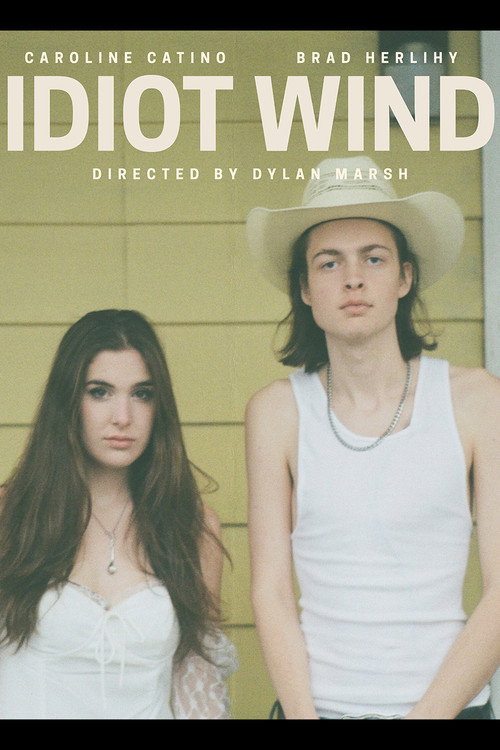 Idiot Wind Poster