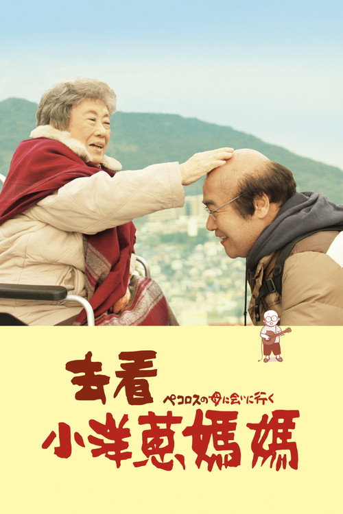 去见小洋葱的母亲电影海报