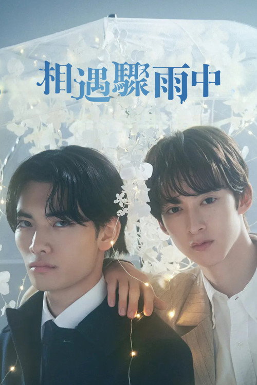相遇骤雨中电影海报