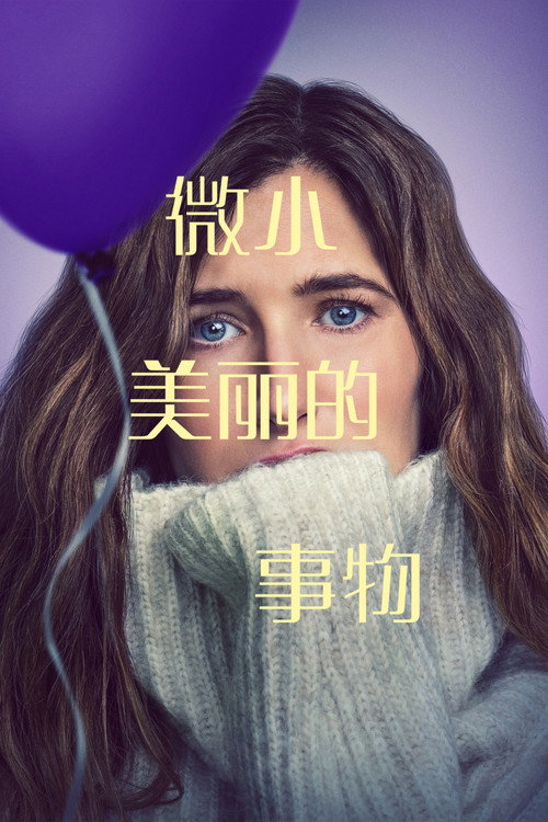 最美丽的小事电影海报