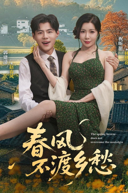 春风不渡乡愁电影海报