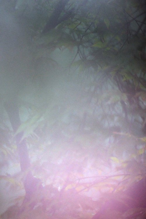창