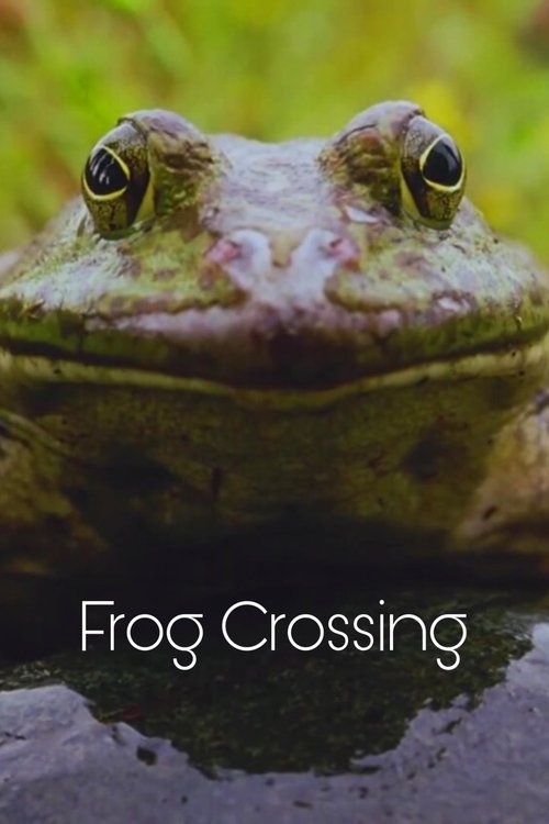 Frog+Crossing