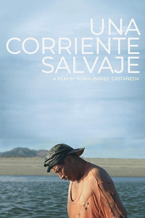 Una corriente salvaje poster