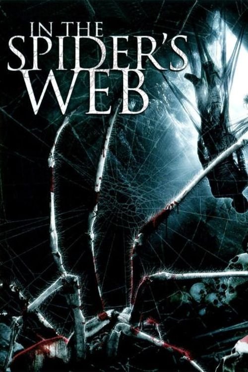 In+the+Spider%27s+Web