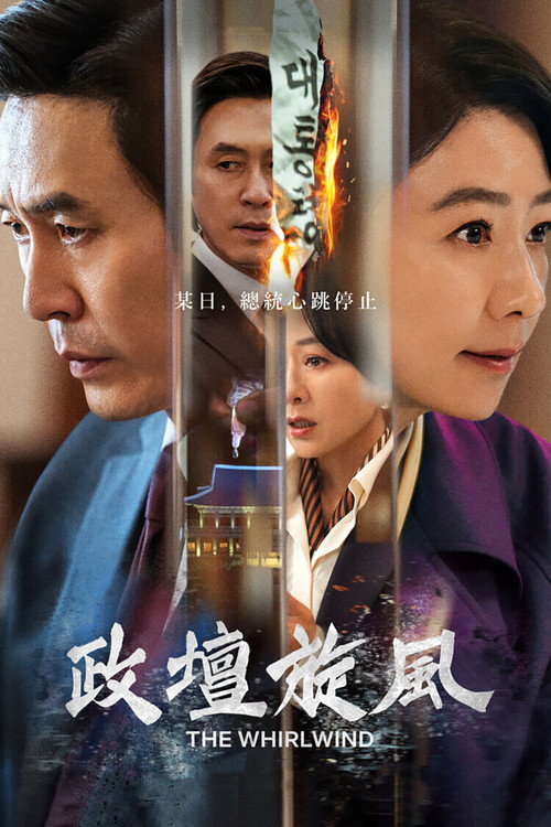 政坛旋风电影海报