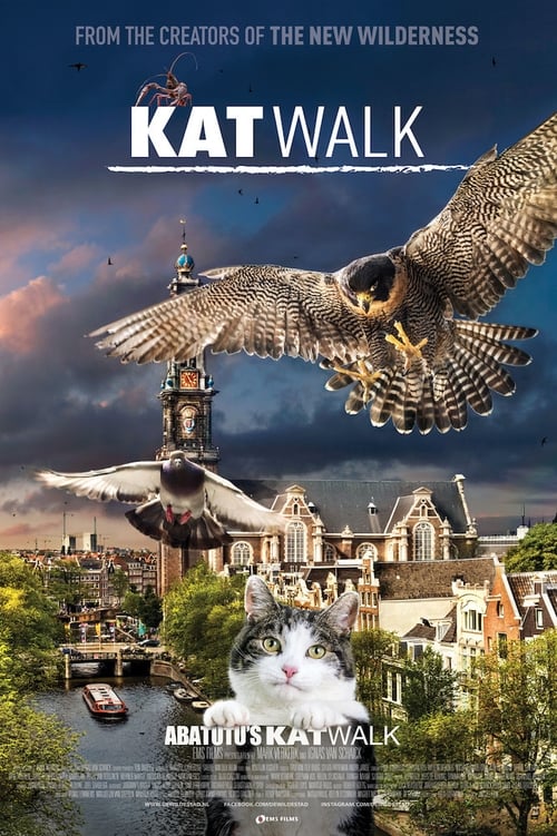 Katwalk