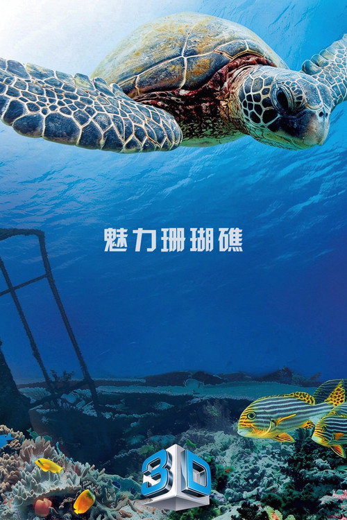 魅力珊瑚礁电影海报
