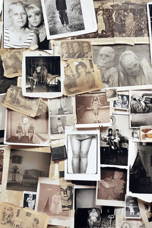 A Slide Show and Talk by Diane Arbus Poster