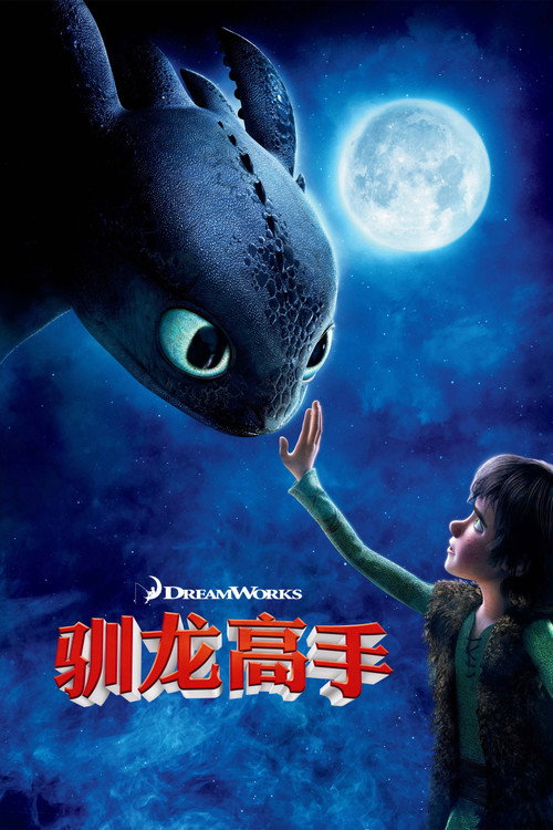 驯龙高手电影海报