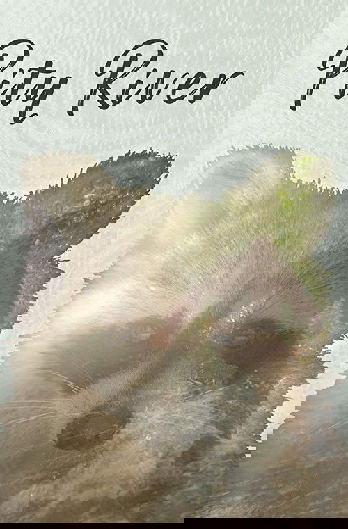 Pity River Poster