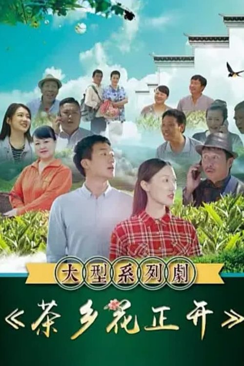 茶乡花正开