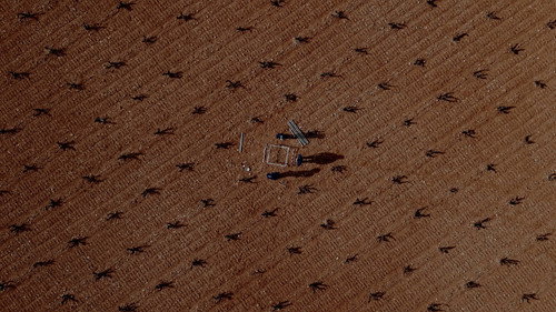 Backdrop
