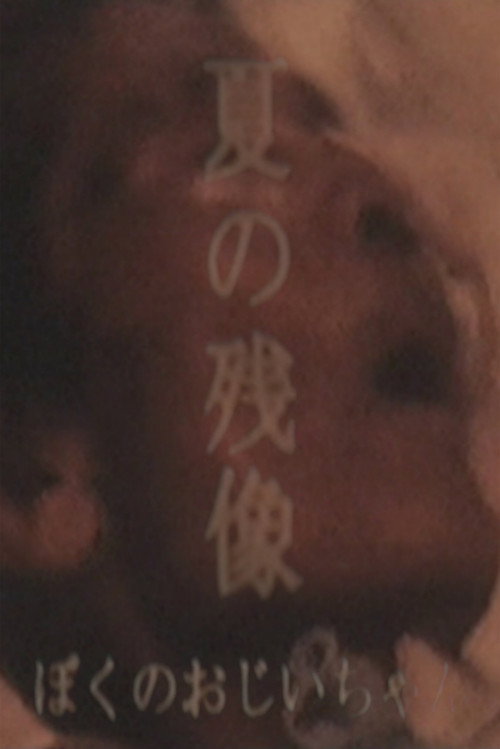 Afterimage Of Summer: My Grandpa's poster