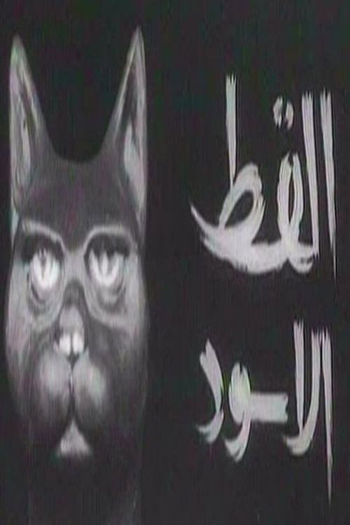 القط الأسود电影海报
