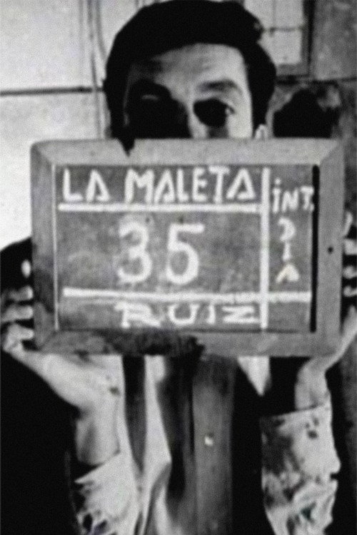 The Suitcase Poster
