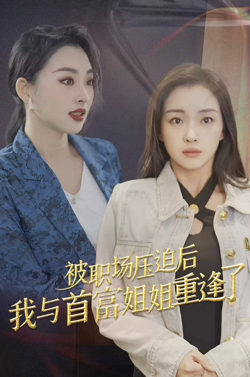被职场压迫后我与首富姐姐重逢了电影海报