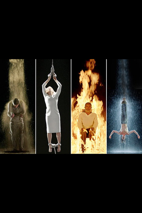 Martyrs poster 2