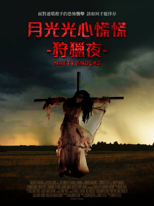 纳蒂来敲门电影海报