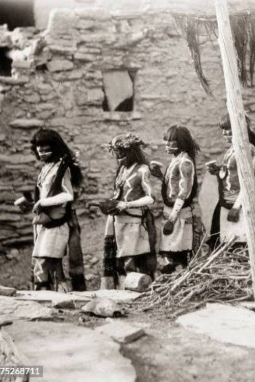 A Panorama of Indian Scenes & Procession电影海报