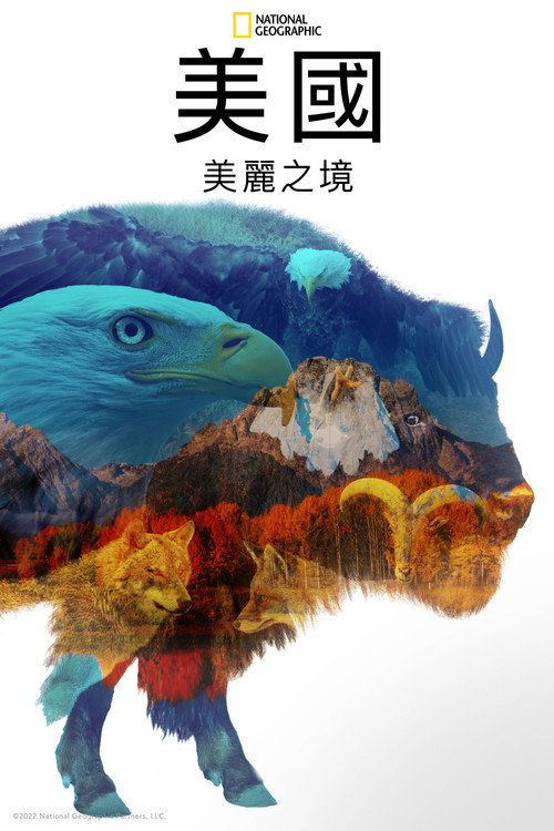 美国：美丽之境电影海报