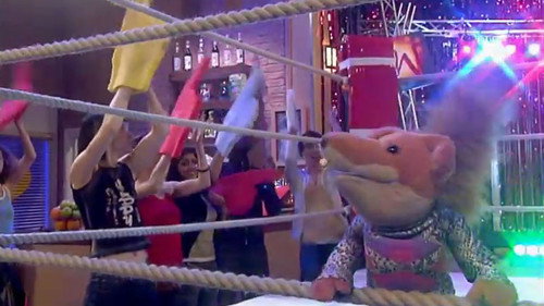 Foxweight Champion