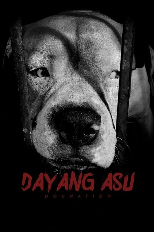 Dayang+Asu