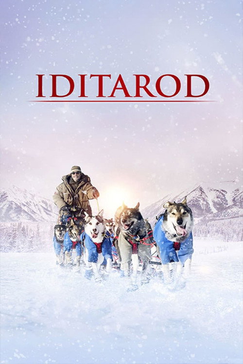 Iditarod, la dernière course de Nicolas Vanier poster 3