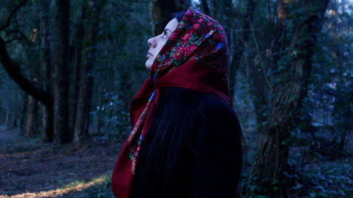 Backdrop