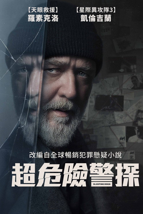 沉睡烈犬电影海报