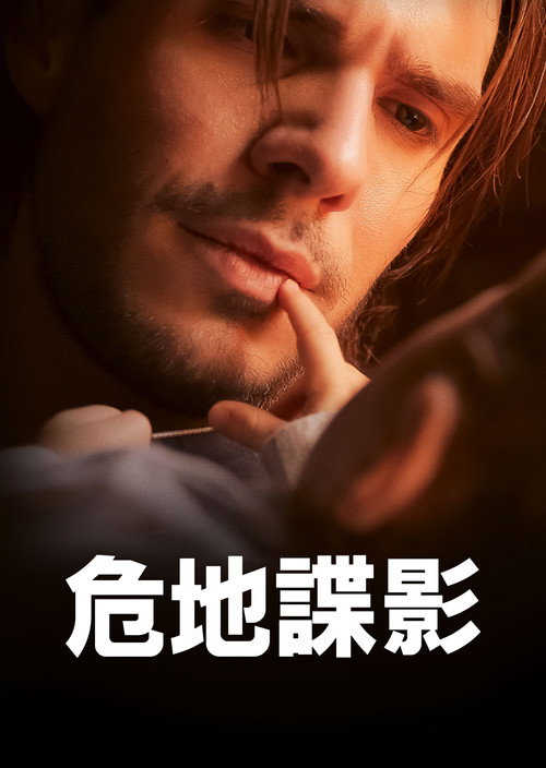 危地谍影电影海报