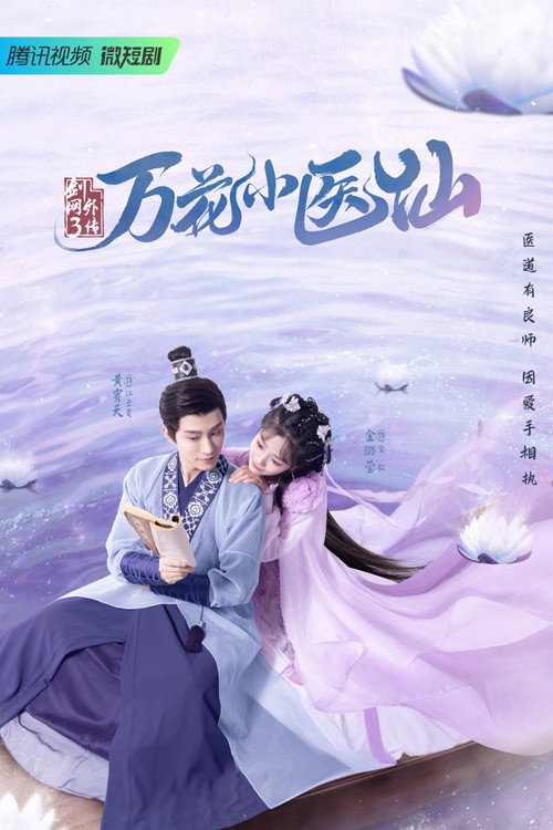 剑网3万花小医仙 poster 2