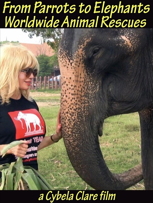 From Parrots to Elephants: Worldwide Animal Rescues Poster