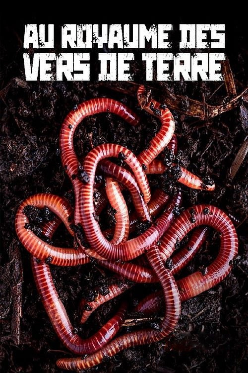 Au royaume des vers de terre : La vie du sol dévoilée
