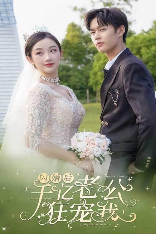 闪婚后，千亿老公狂宠我电影海报