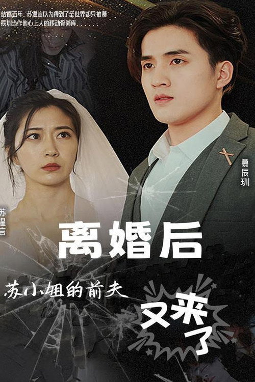 离婚后，苏小姐的前夫又来了电影海报