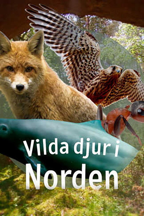Vilda djur i Norden电影海报