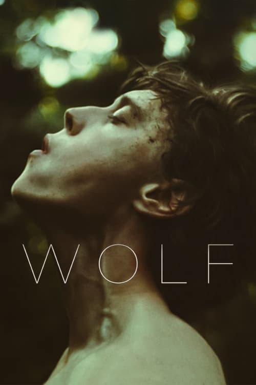 Wolf Torrent (2021) WEB-DL 1080p Dual Áudio