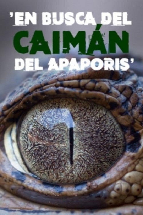 En busca del caimán del Apaporis