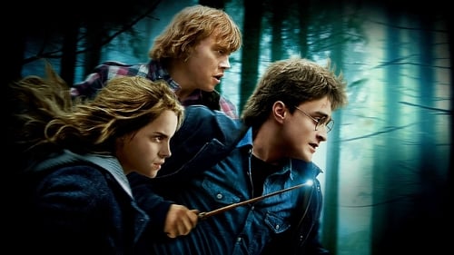 Harry Potter y las Reliquias de la Muerte - Parte 1 (2010) Ver Pelicula Completa Streaming Online