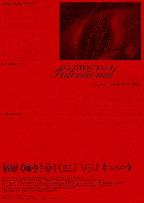 Accidentally Intentional poster 2