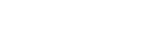 Bardo False Chronicle of a Handful of Truths